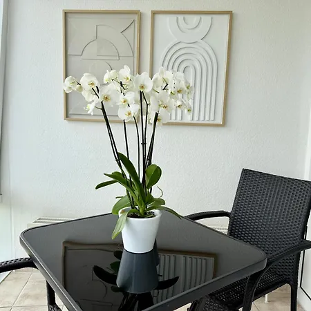 Mit Pool Und Sauna Apartment